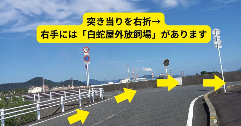 岩国錦帯橋空港から徒歩でパブリックアクセスロードに行く場合