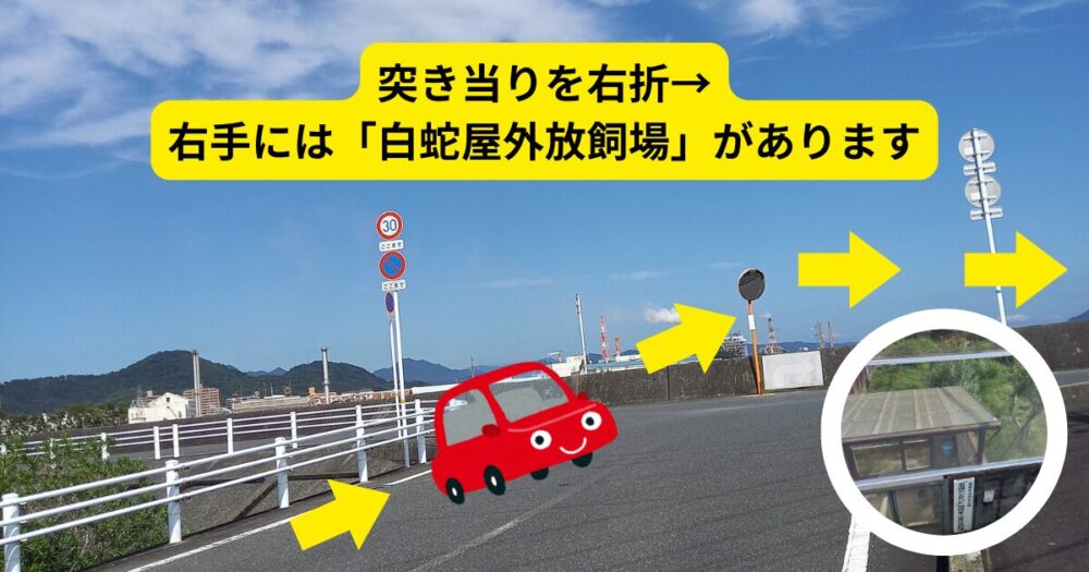 パブリックアクセスロードへは突き当りを右折、白蛇屋外放飼場が目印